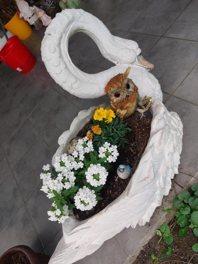 Queen House Apartman Zagreb Luaran gambar